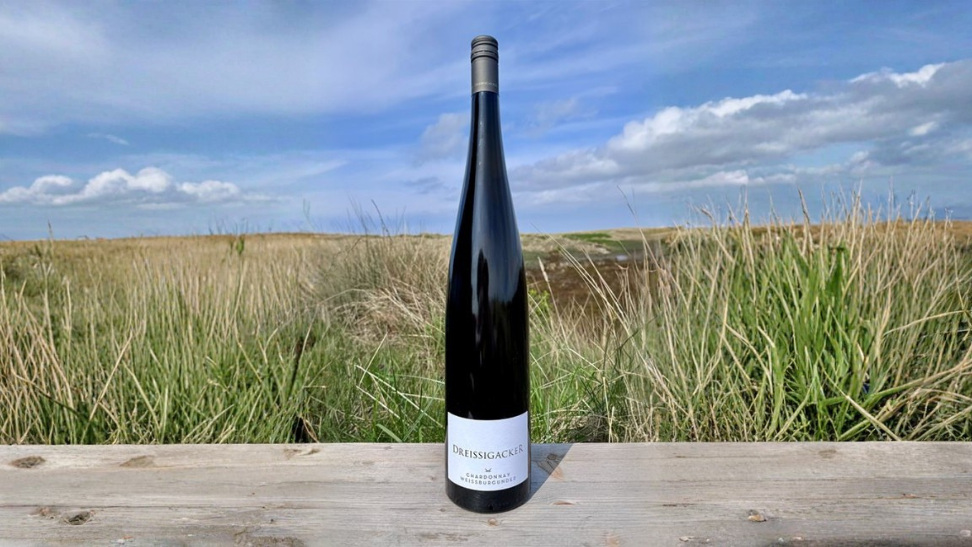 2024er Dreissigacker Weißweincuvée Chardonnay & Weißburgunder