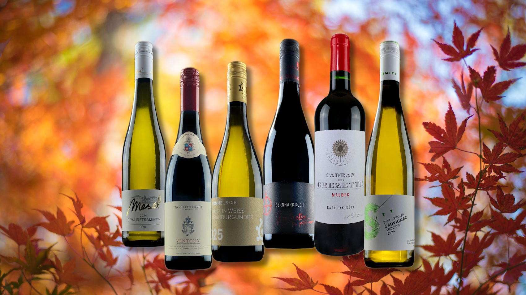 Herbstpaket aus dem Weinkeller der BASF